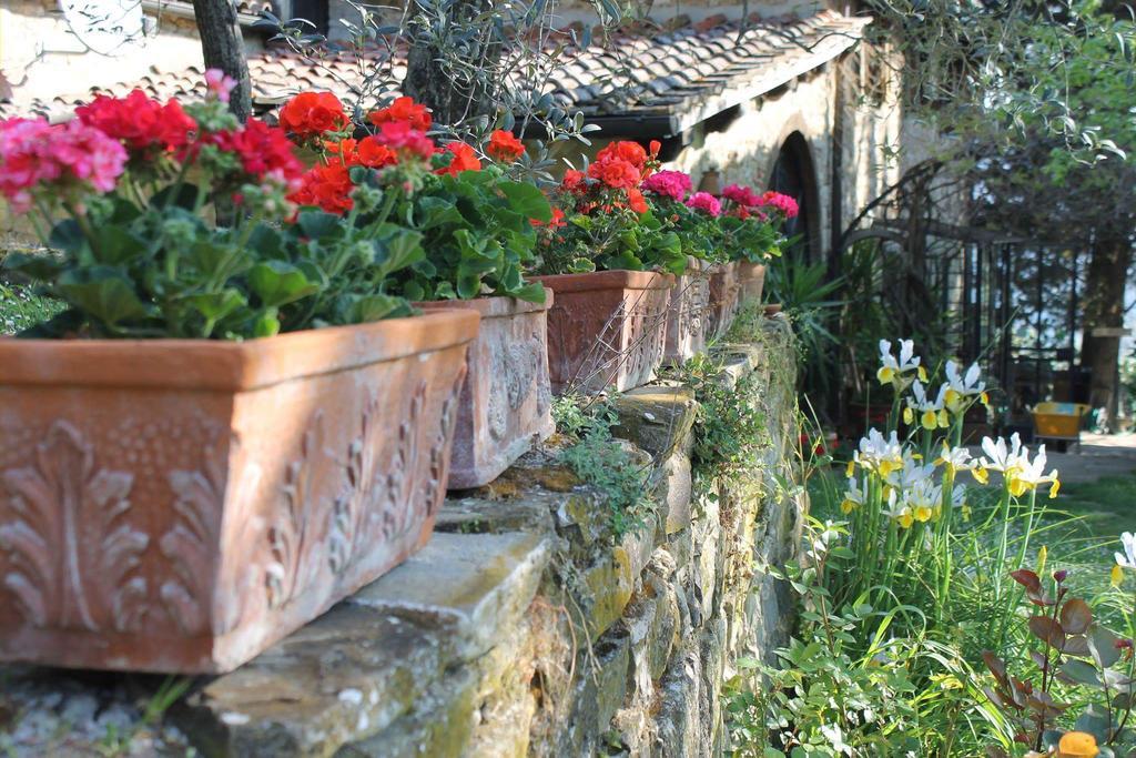 Villa Casa Mezzuola Agriturismo Greve in Chianti Exterior foto