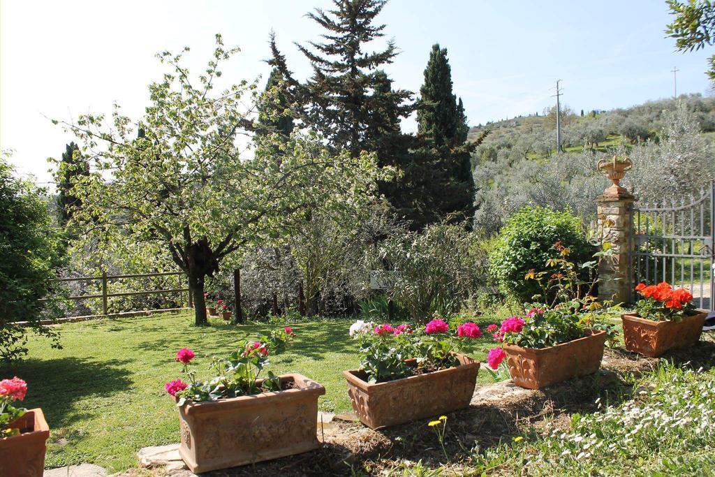 Villa Casa Mezzuola Agriturismo Greve in Chianti Exterior foto